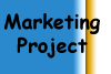 Marketing Research and Its strategies: Pixel Web Tech